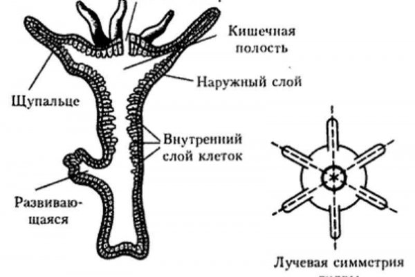 Кракен наркомаркет