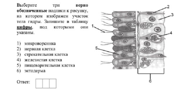 Кракен перейти