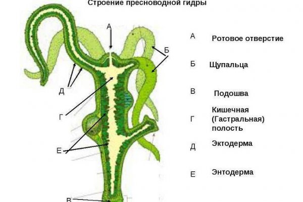 Kraken ссылка зеркало krakentor site