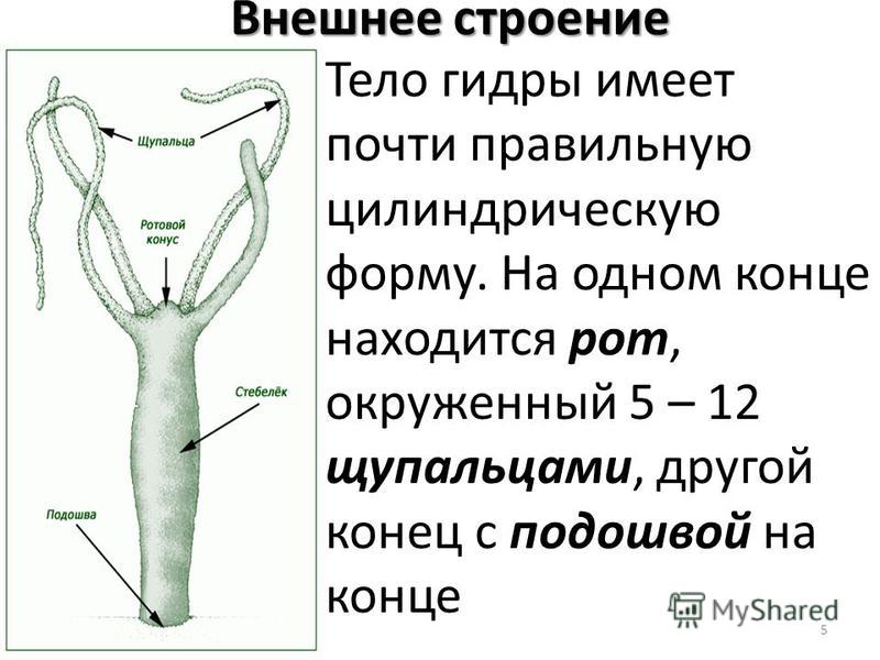 Кракен сайт 13at